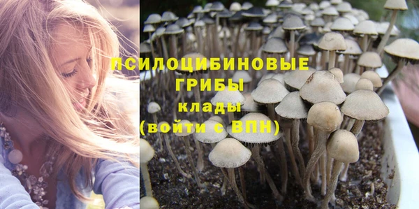 твердый Аркадак