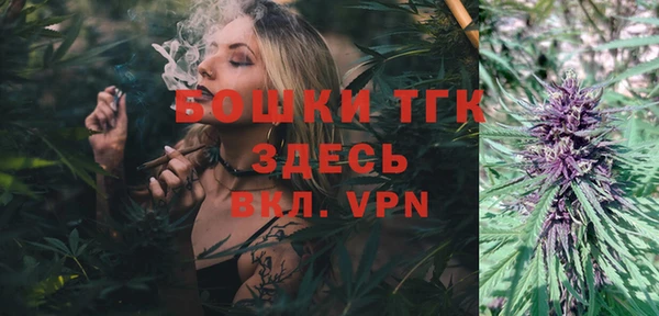 твердый Аркадак