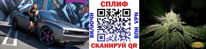 Шишки марихуана OG Kush Крым